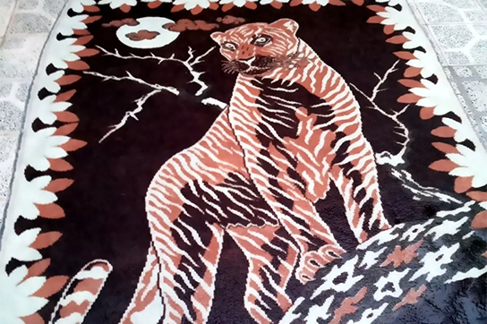 G0mJZ13WUAA8qxU_11zon