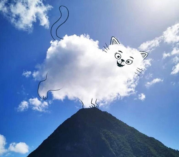 17