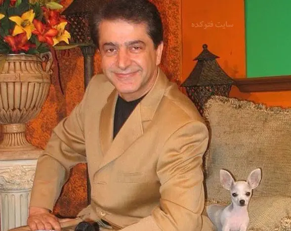 شبخیز