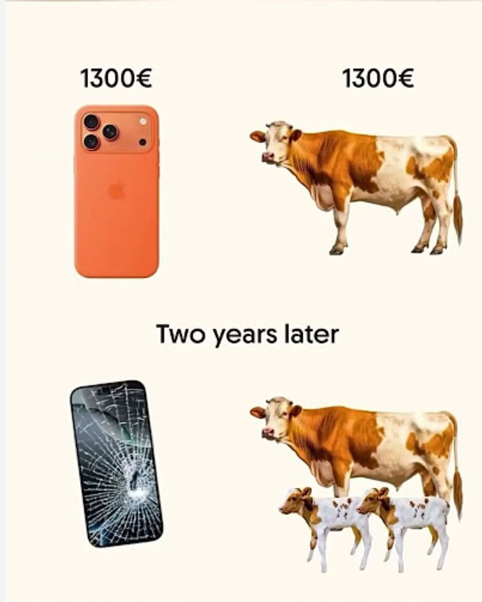 2294906_390
