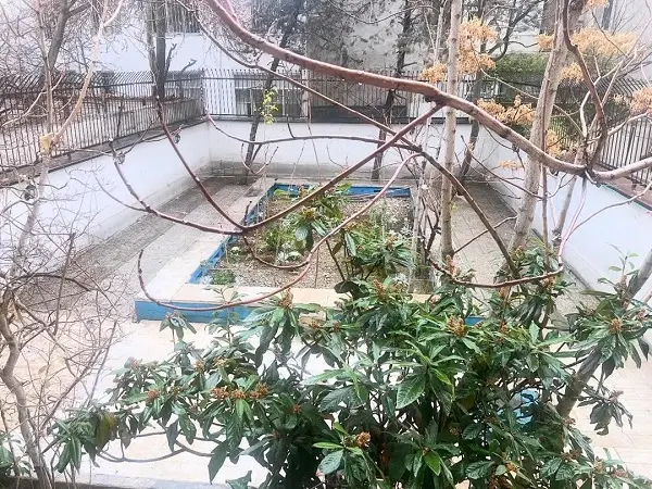 photo_2026-01-07_16-23-22