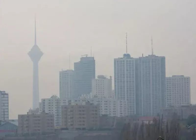 IMG_20251124_133038_753