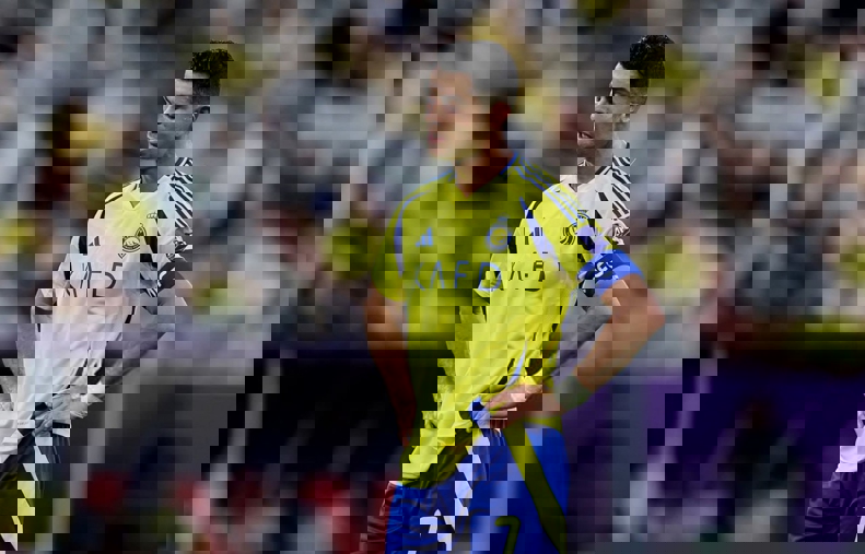 q1ozyant4