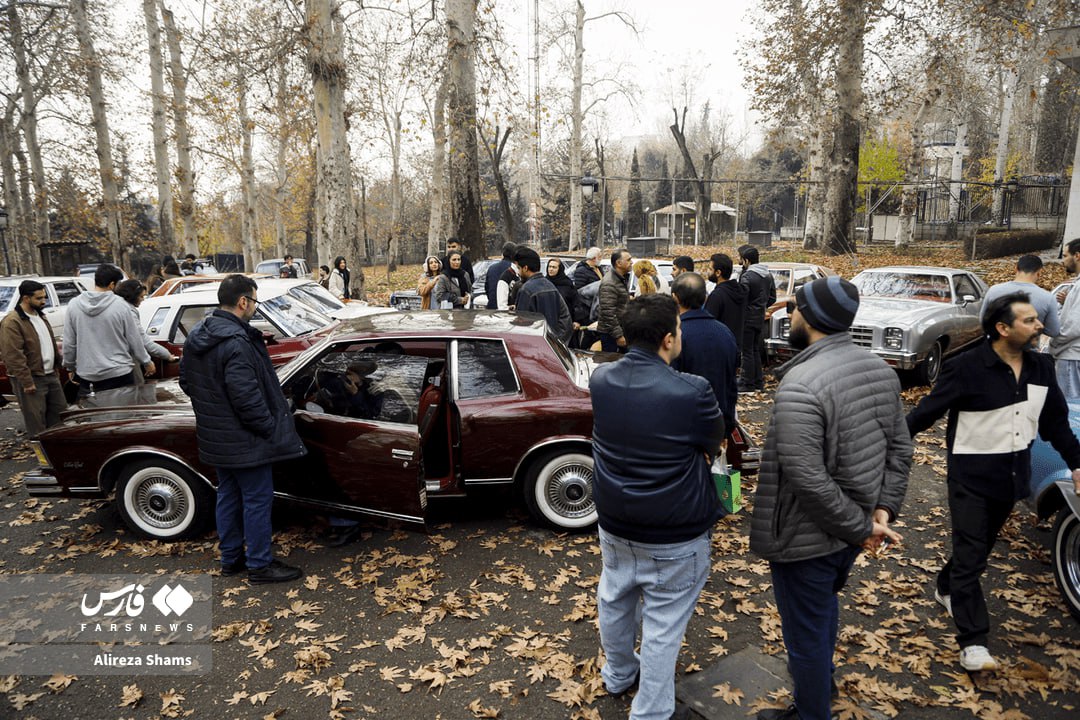 photo_2025-12-13_13-20-15 (2)