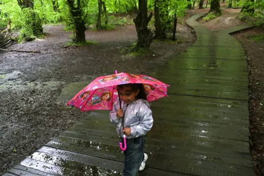 8c6b4d785cd04b65917306751410d988