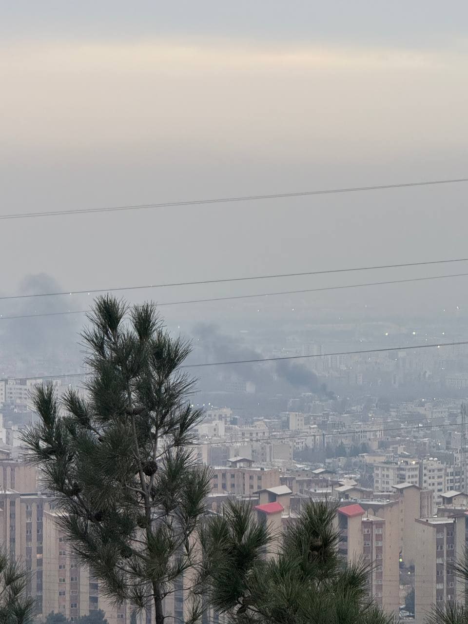 photo_2026-01-02_20-12-54