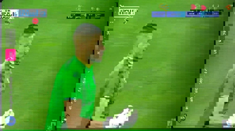 z30pvicv2