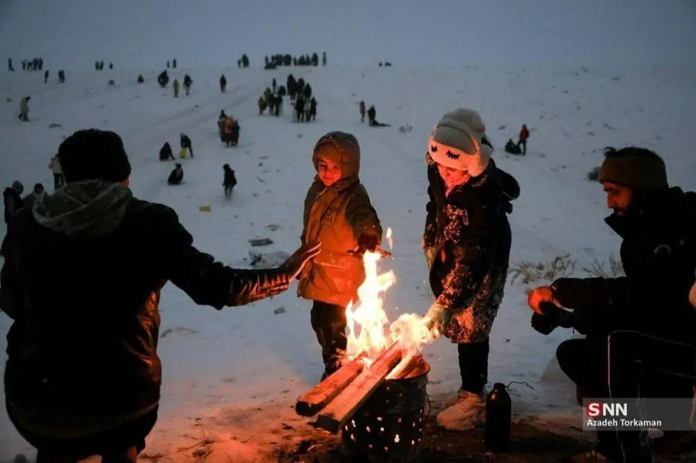 IMG_20260121_120401_317