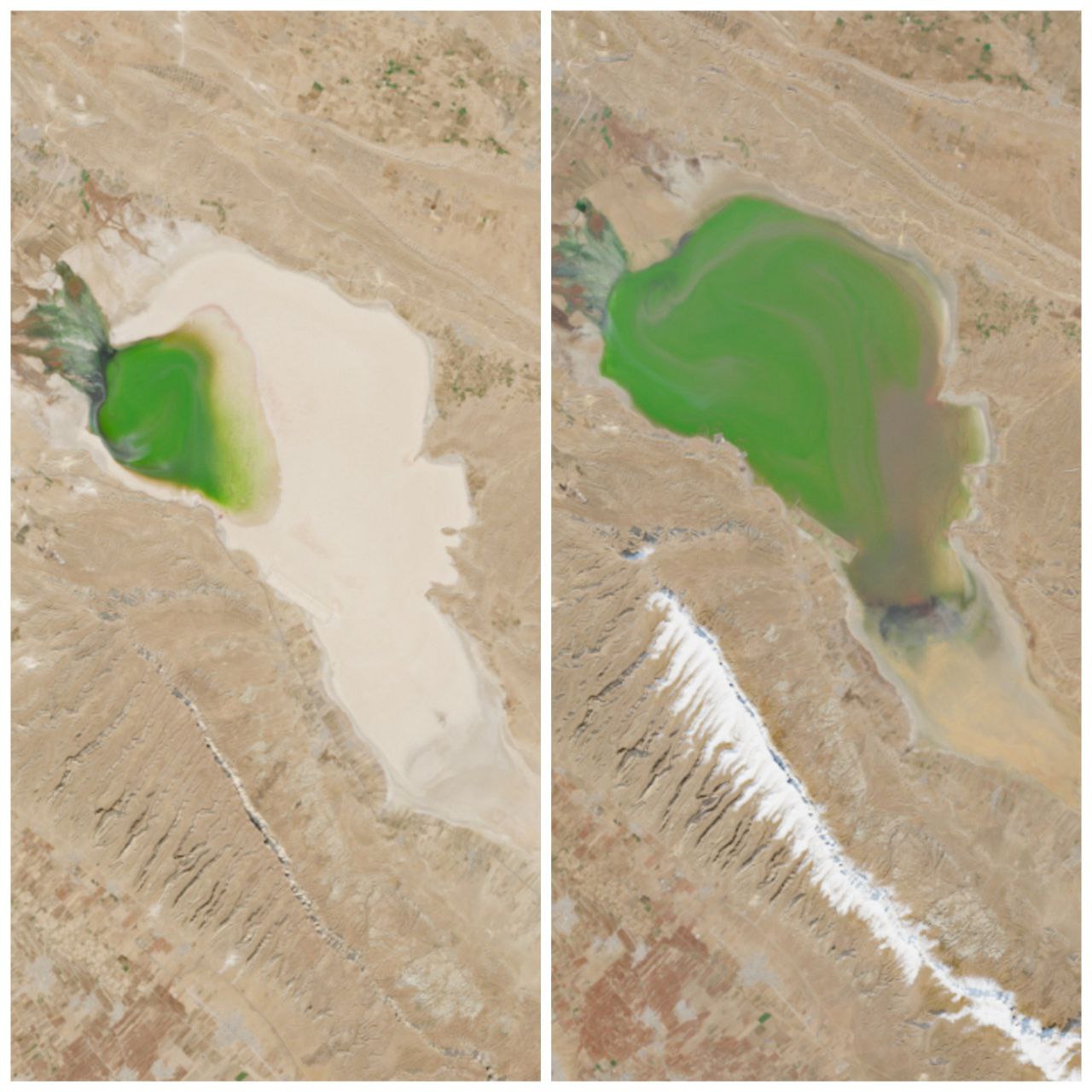 photo_2025-12-25_23-36-29