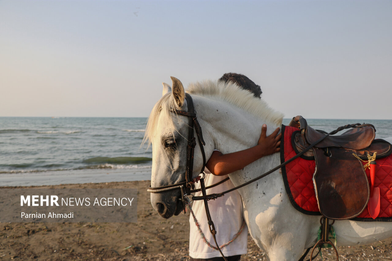 «ساحل خان»، قلب یک ایران را تسخیر کرد