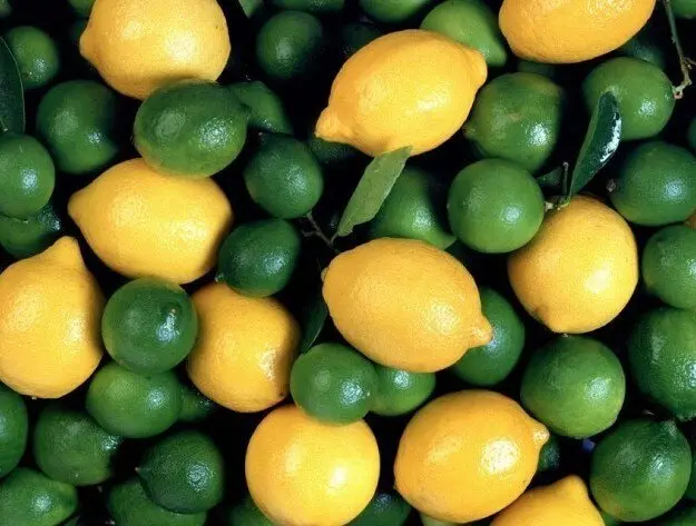 طرز تهیه لیمو عمانی خانگی؛ چاشنی اصیل ایرانی