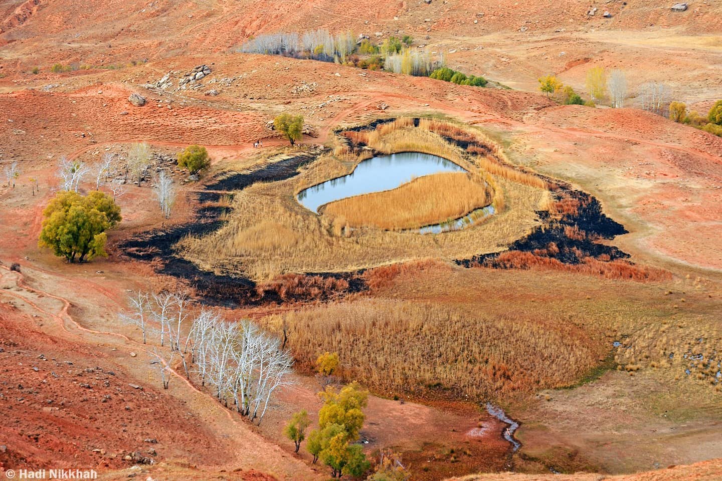 photo_2025-11-02_14-27-27