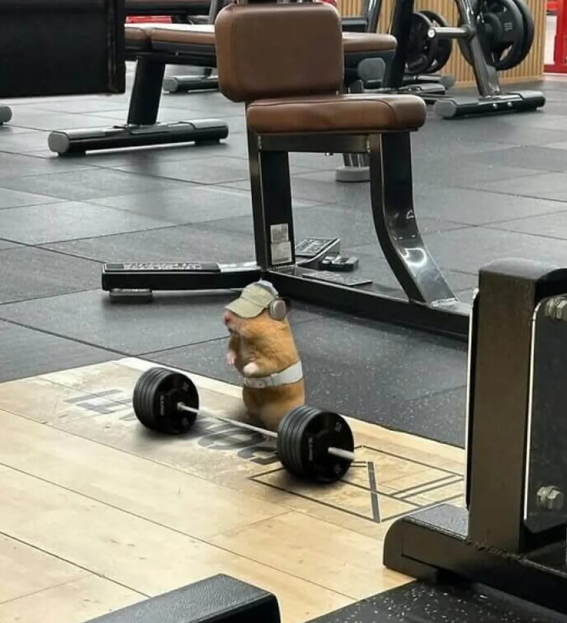 22