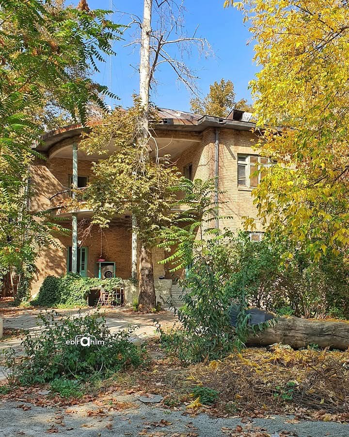 photo_2025-10-17_12-27-34