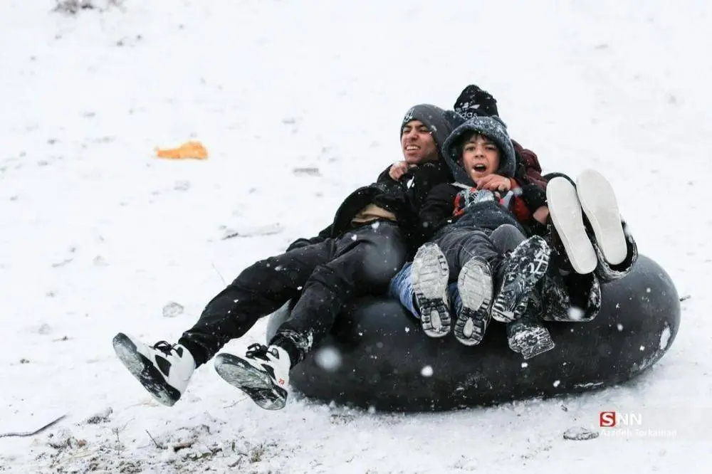 IMG_20260121_120400_676