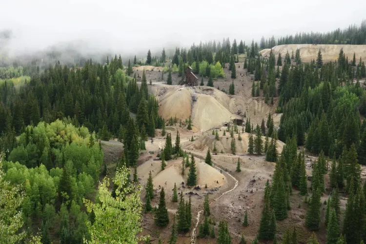 bought-a-camera-off-an-auction-found-possibly-the-holy-5-68ff83a2d829d3e43f046c21_11zon