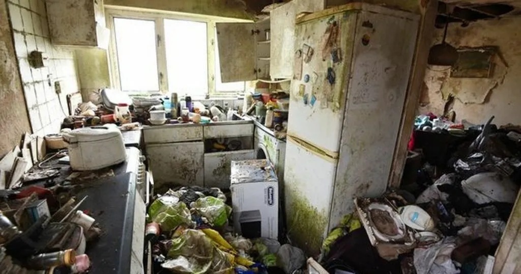 0_kitchen-1024x538