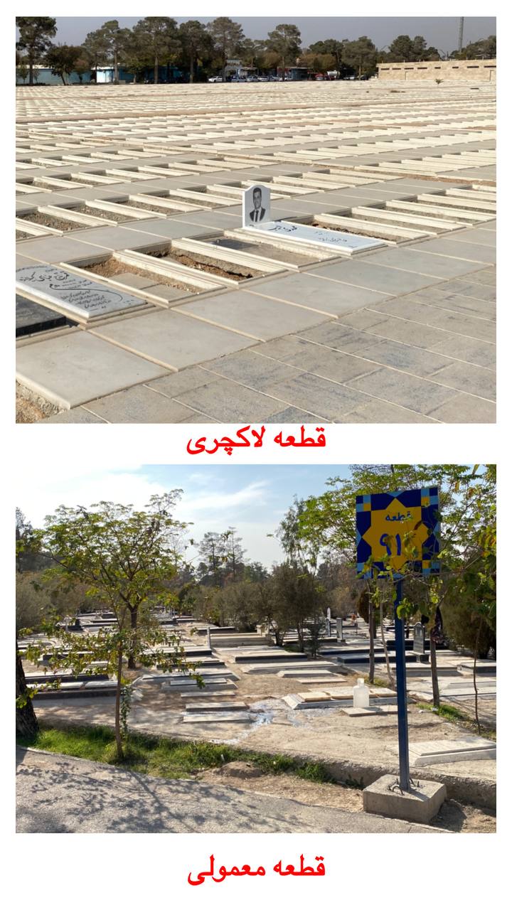 photo_2025-11-16_18-51-42