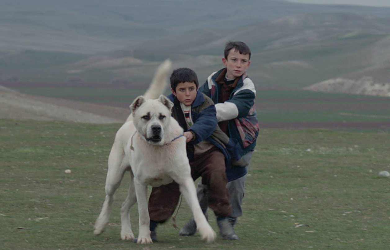 10 فیلم از سینمای ترکیه که به شدت غافلگیرتان می‌کند