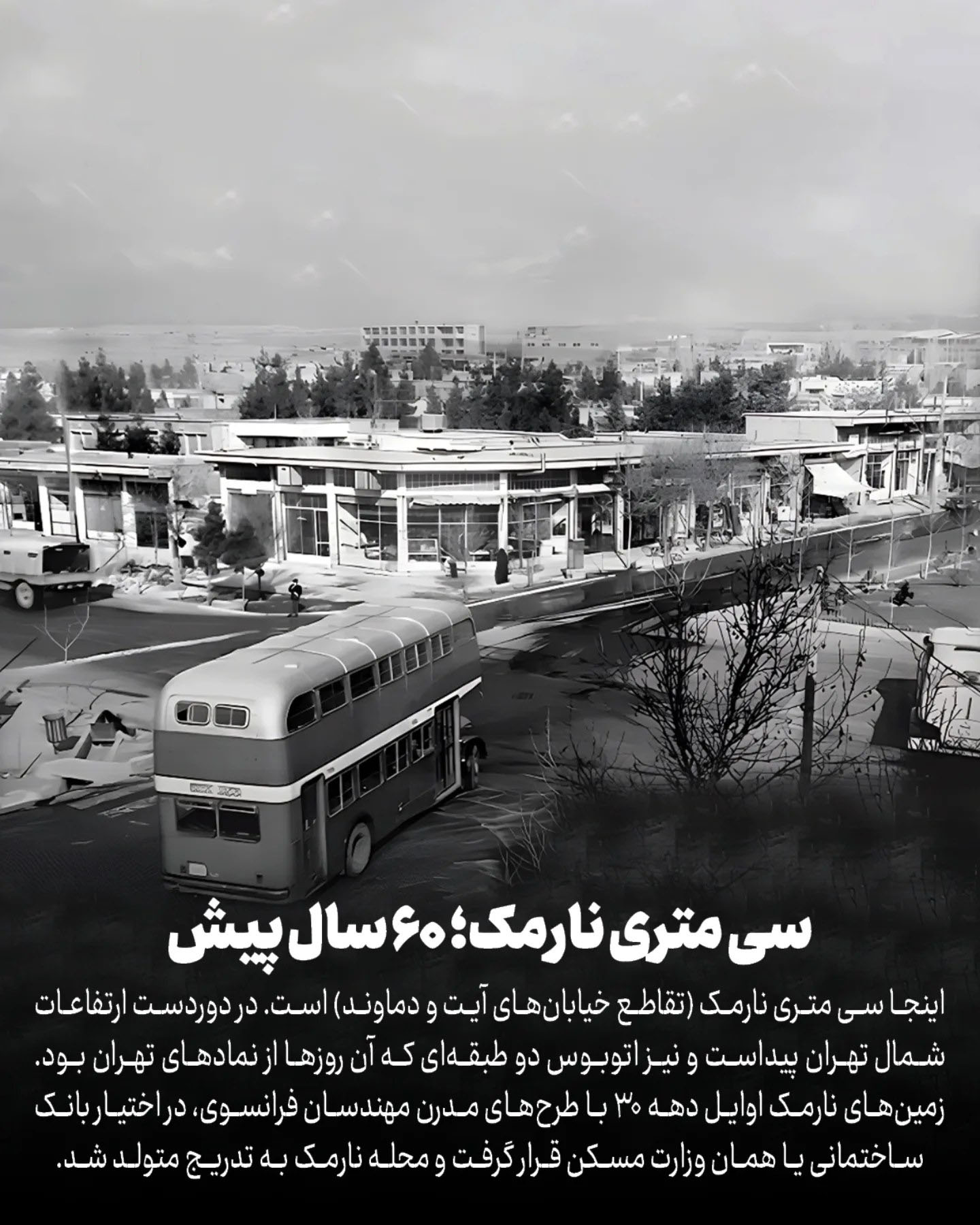 photo_2025-11-25_14-51-41