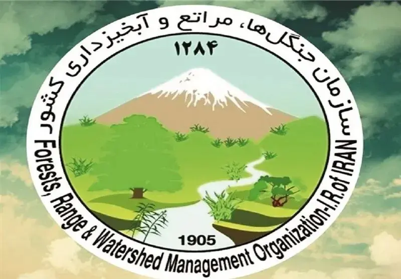 fa96b0b9ZTp3ZWJwfGY6MjQ5MDEzMS53ZWJwfGZ1aToyMzg0NTAyfGw6ZmF8djox