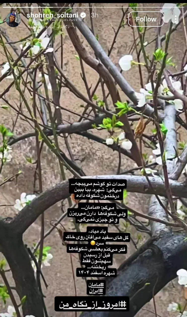 photo_2026-02-26_12-49-57