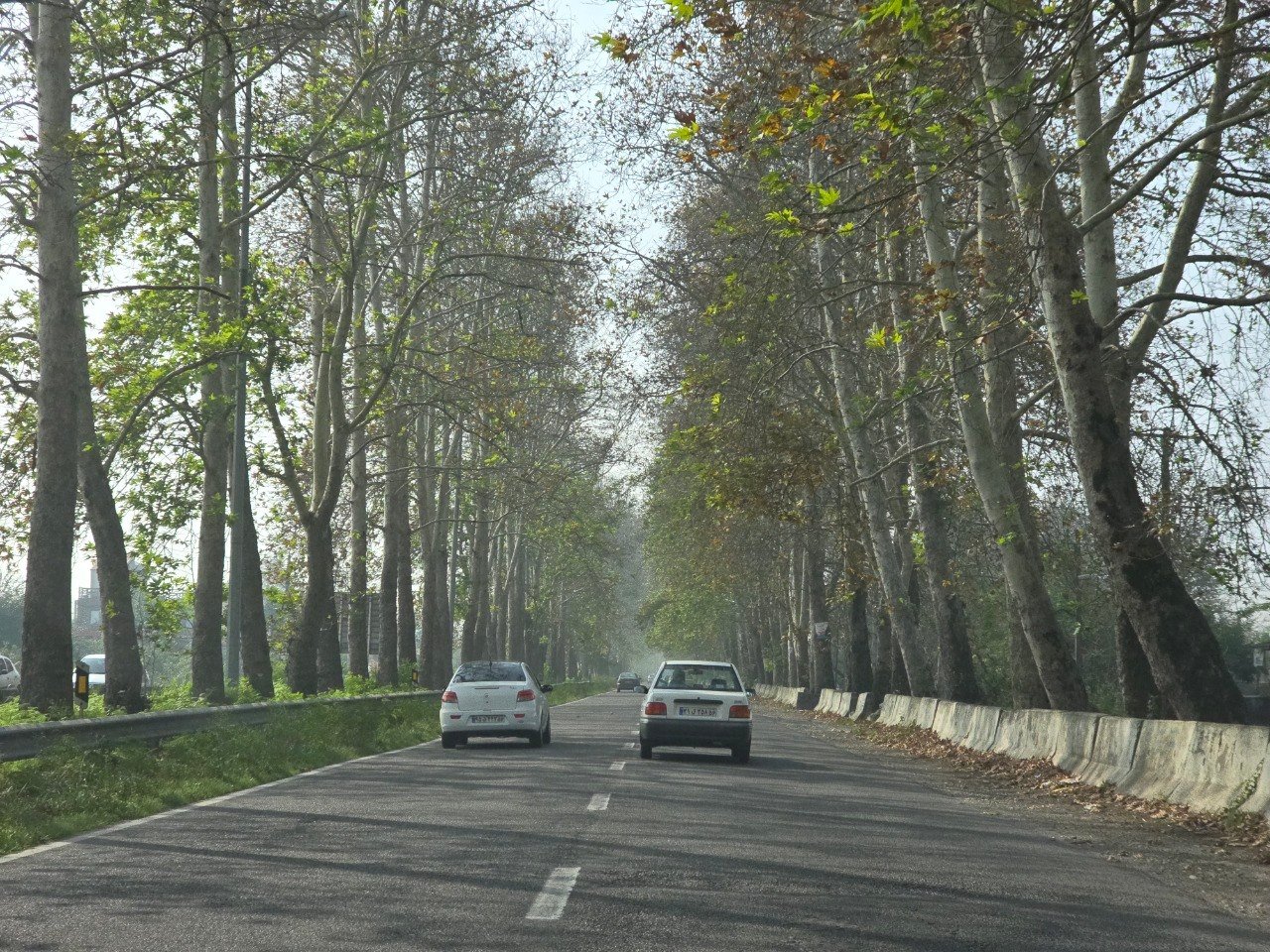 photo_2025-11-15_18-51-09