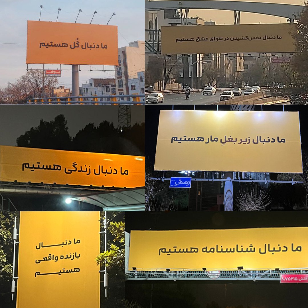 photo_2025-12-17_12-37-29