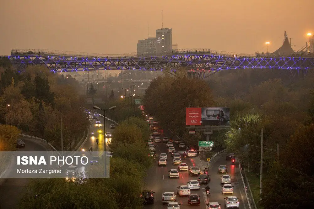 photo_2025-11-22_19-54-11 (2)