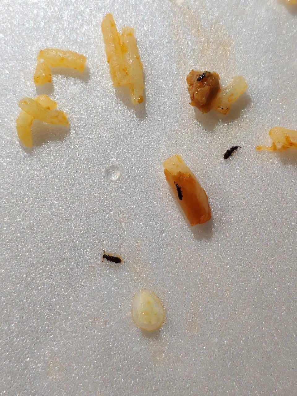 photo_2025-11-10_10-33-40