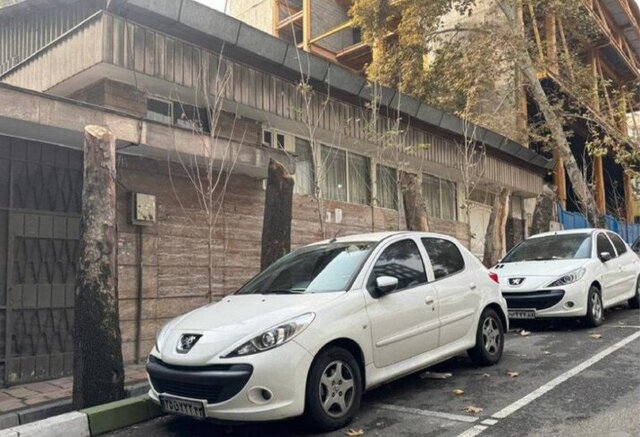 ورود دادستانی تهران به موضوع خیابان فرشته