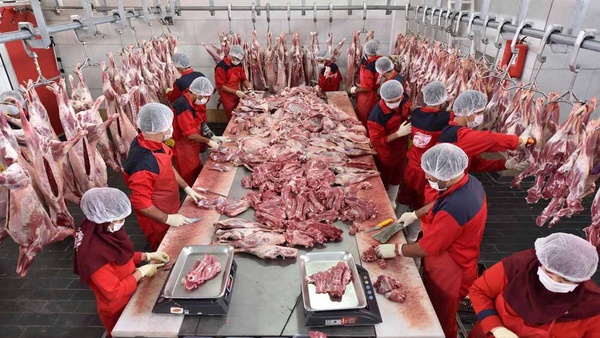 dfb39cc791044e4f9f991c1c79676193