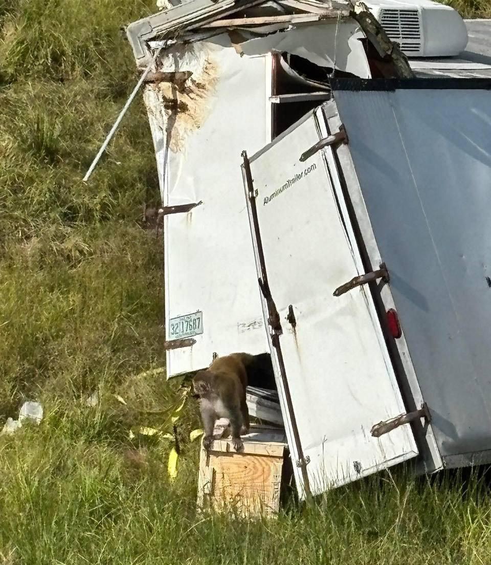 photo_2025-10-29_09-23-07