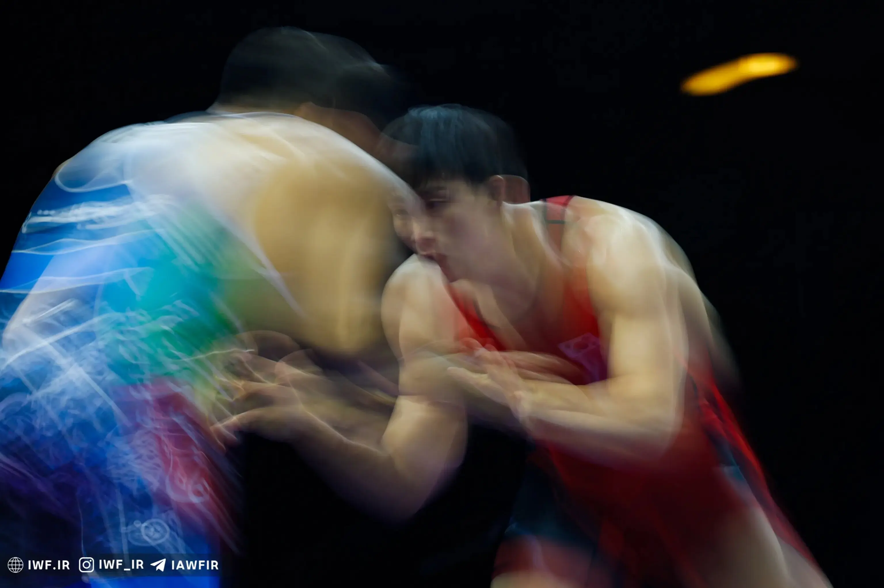 InShot_20260210_200033677