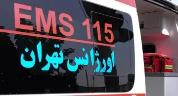 6381310