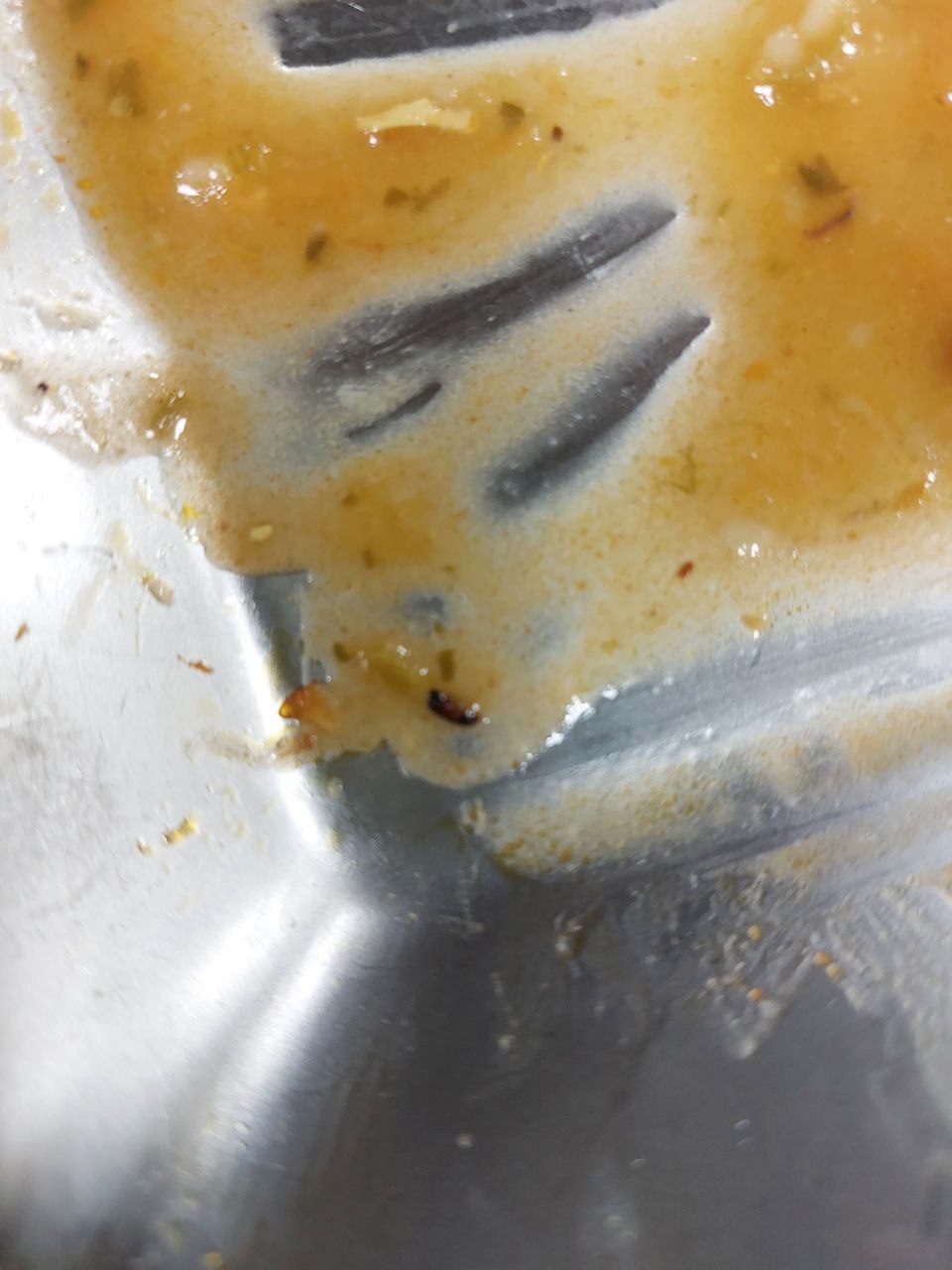 photo_2025-12-15_19-52-43