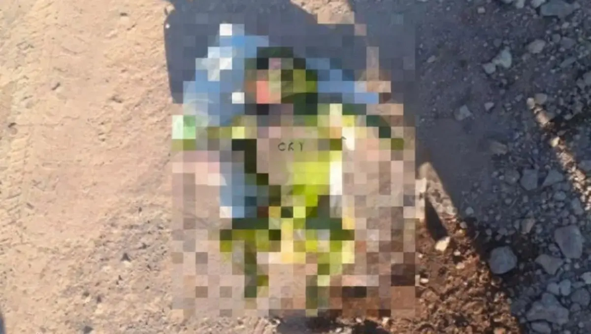 photo_2026-02-25_18-45-53