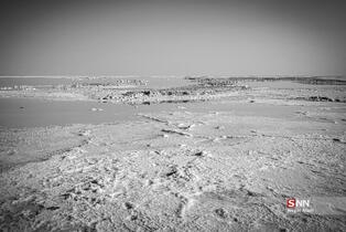 thm_3019262_185