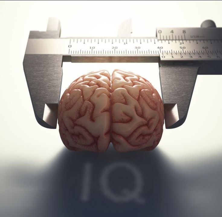 photo_2025-11-17_09-23-17