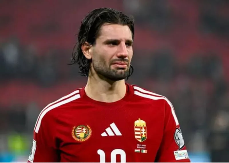 photo_2025-11-16_21-13-49