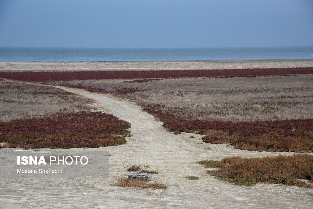 photo_2025-11-29_23-47-15