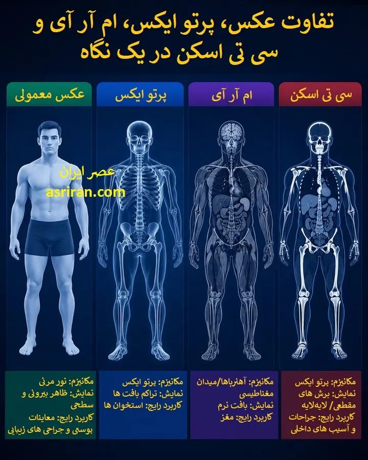 0f993a3aZjoyNTU5NzY1LmpwZ3xmdWk6MjQ0NzczNXxsOmZhfHY6MQ