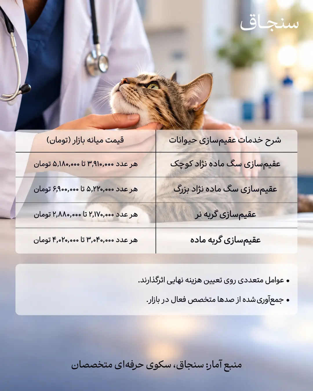 sanjagh-pet-neutering-no-box