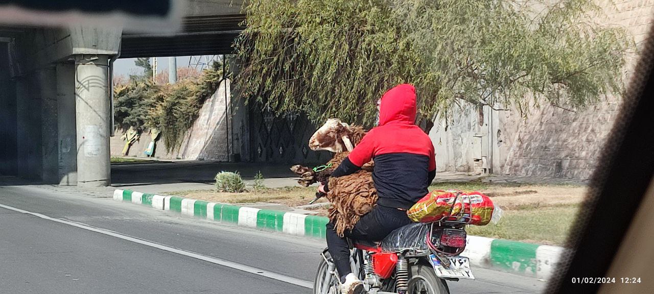یک روز خیلی معمولی در یکی از خیابان‌های مشهد