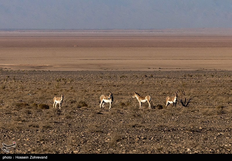 140408101252169334542004