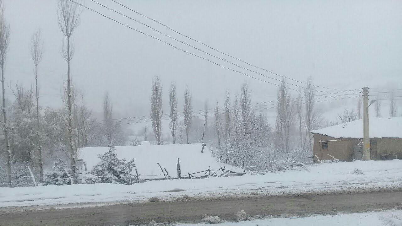 این نقطه کشور الان برف می‌بارد!