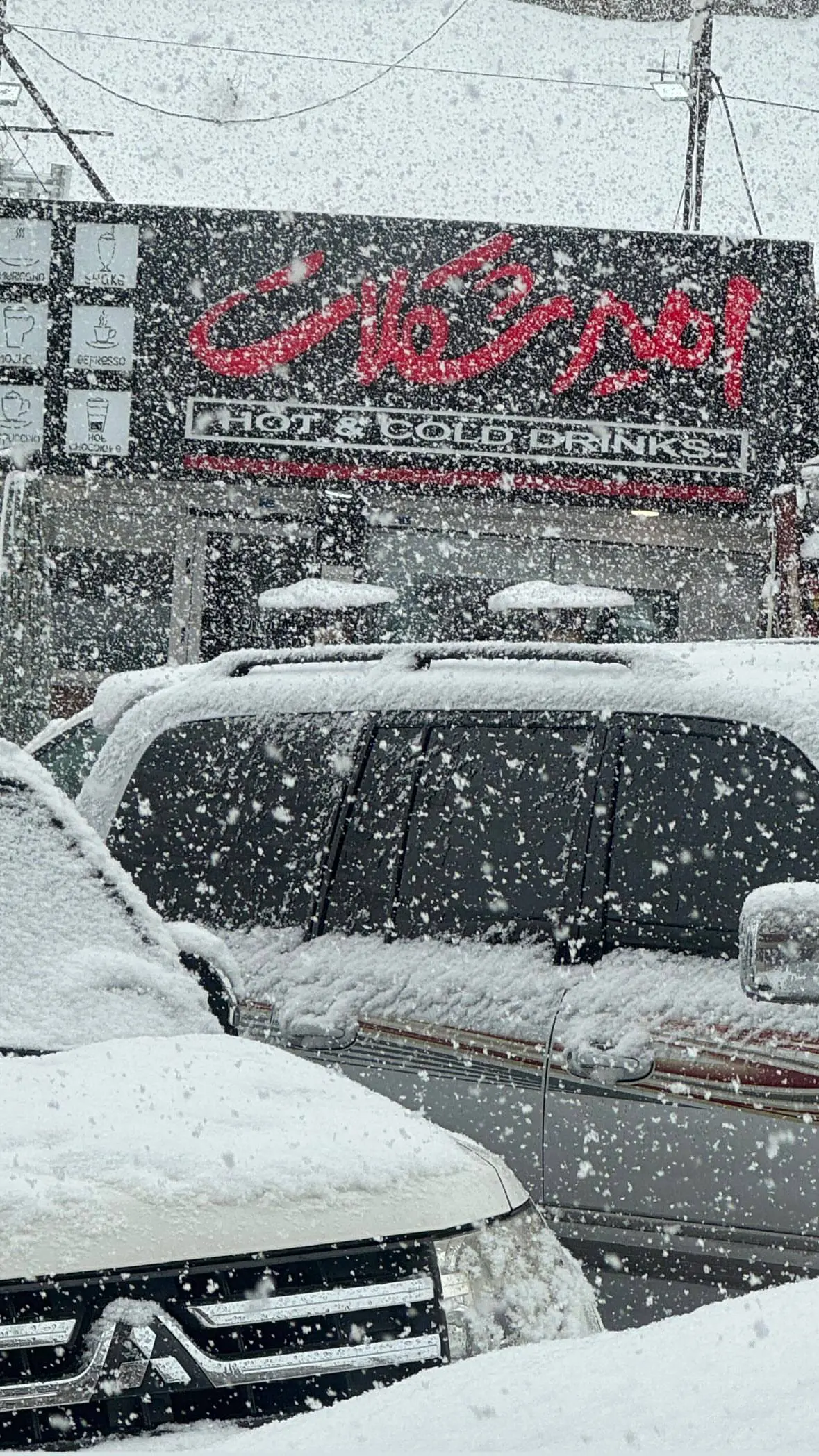 photo_2026-02-04_14-59-26