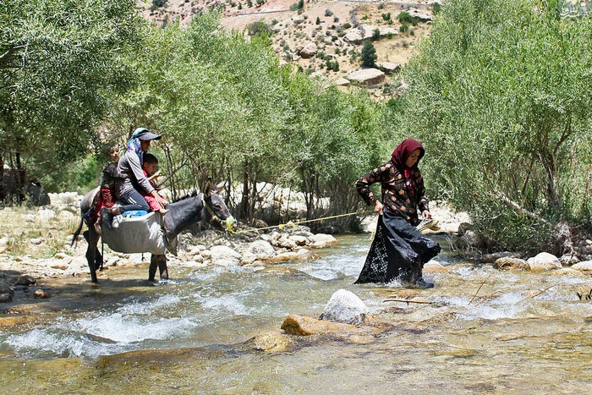 آمار عجیب و غریب مهاجرت معکوس در ایران 