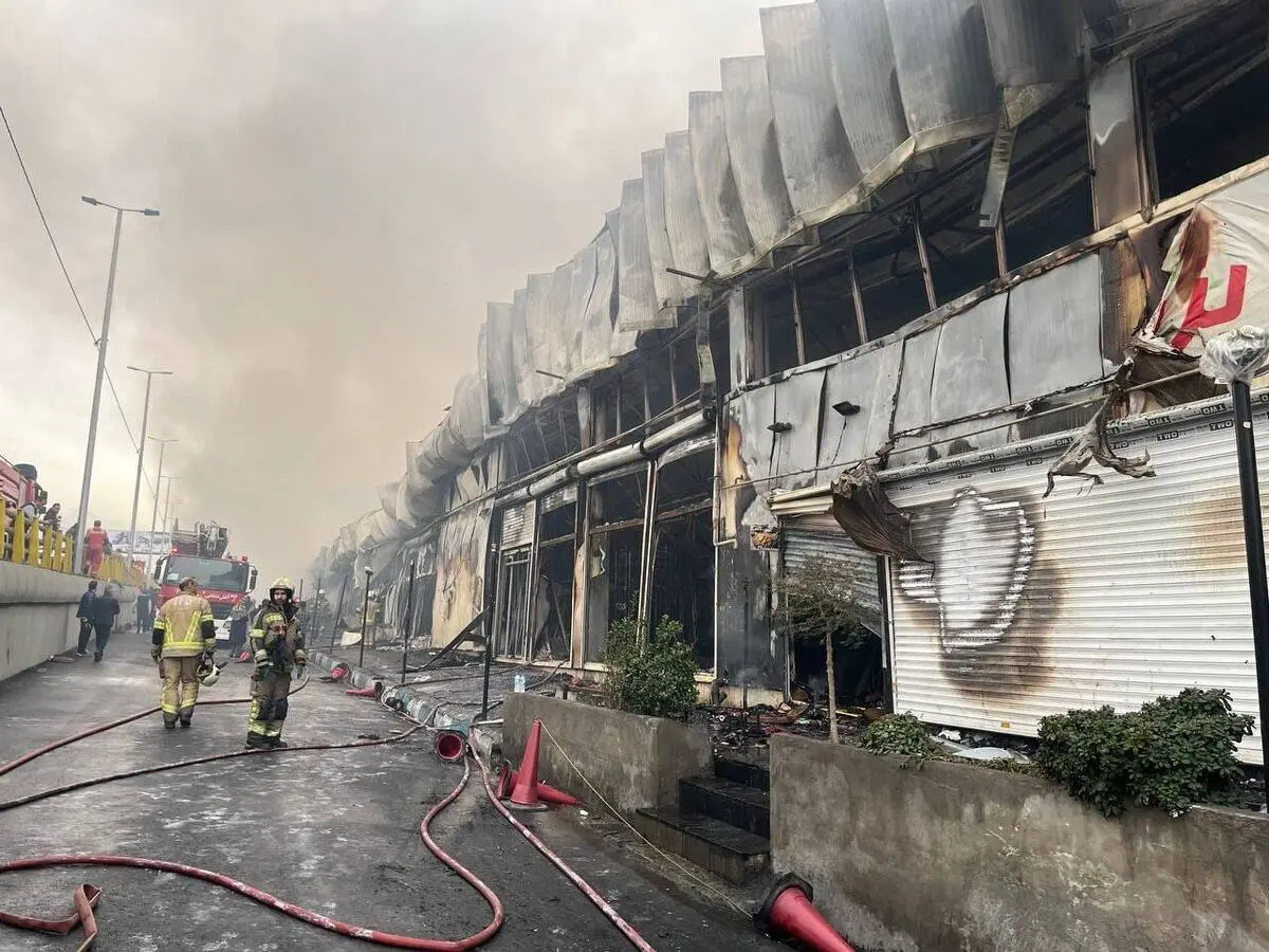 photo_2026-02-08_12-23-15