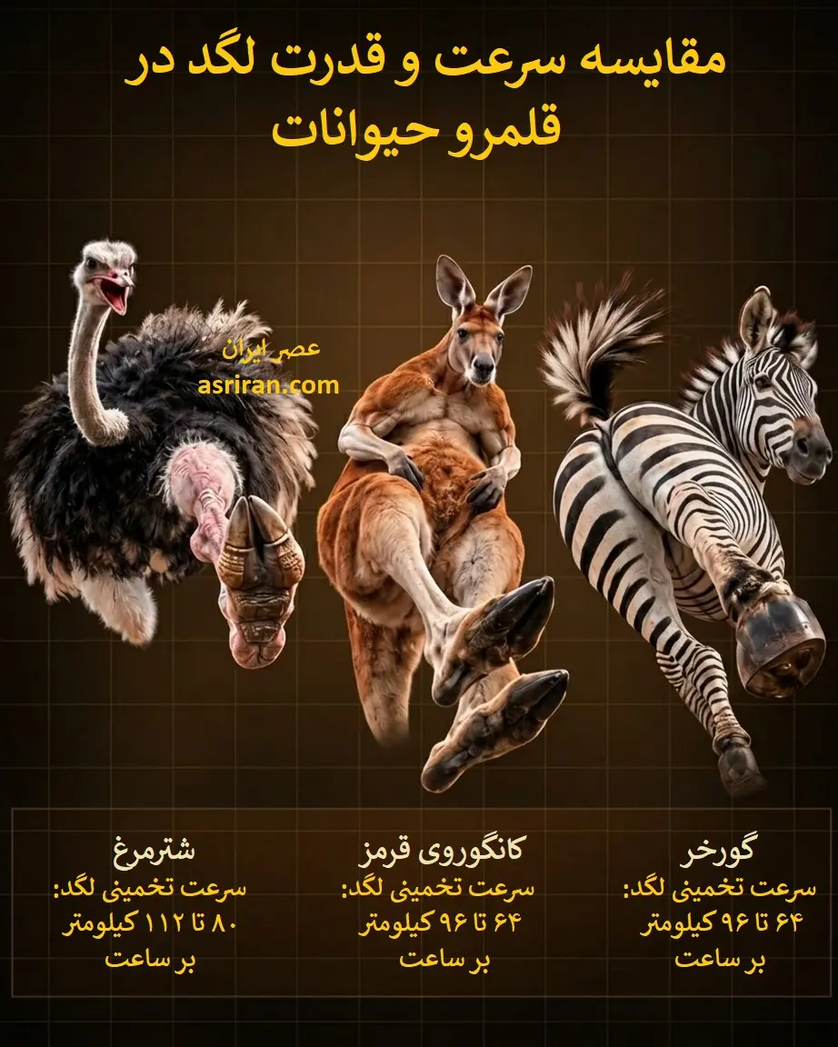 175220c3ZjoyNjEyNTY2LmpwZ3xmdWk6MjQ5MzMwMXxsOmZhfHY6MQ